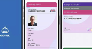 Digital driving licence app to launch this year